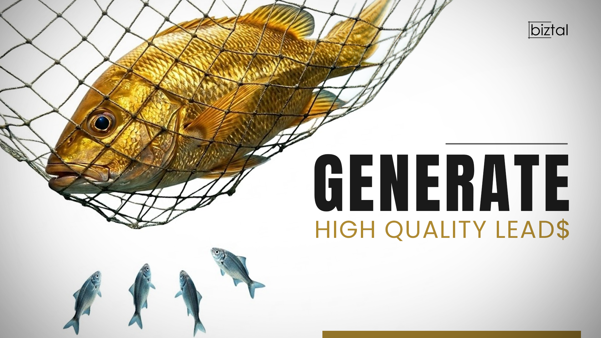 How to Generate High Quality Leads:  Proven Strategies That Drive Real Business Growth
